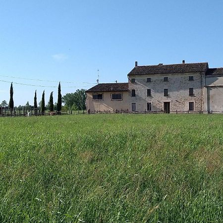 B&B Castel Goffredo San P 3 Екстериор снимка