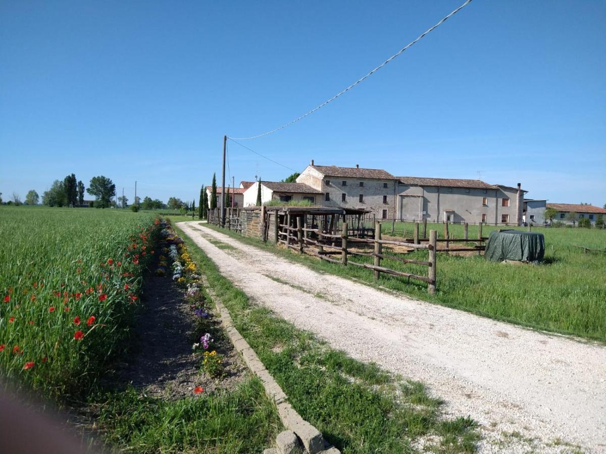 B&B Castel Goffredo San P 3 Екстериор снимка